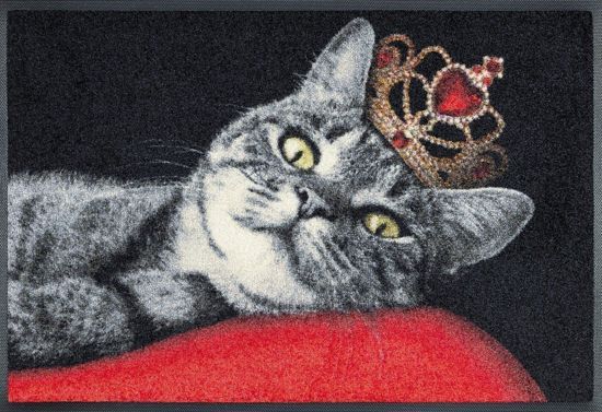 Kleen-Tex Deurmat Wash&Dry 75x50cm Royal Cat