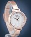 Pierre Ricaud P22058.914FQ montre pour femme avec bracelet