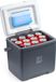 Brisby Koelbox 13 Liter – Grijs – Tot 40 uur isolatie – 2 koelelementen vergrendeld in deksel – Compacte koelbox voor auto en camping – Frigobox