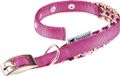 Ferplast Hondenhalsband Daytona Nylon Paars