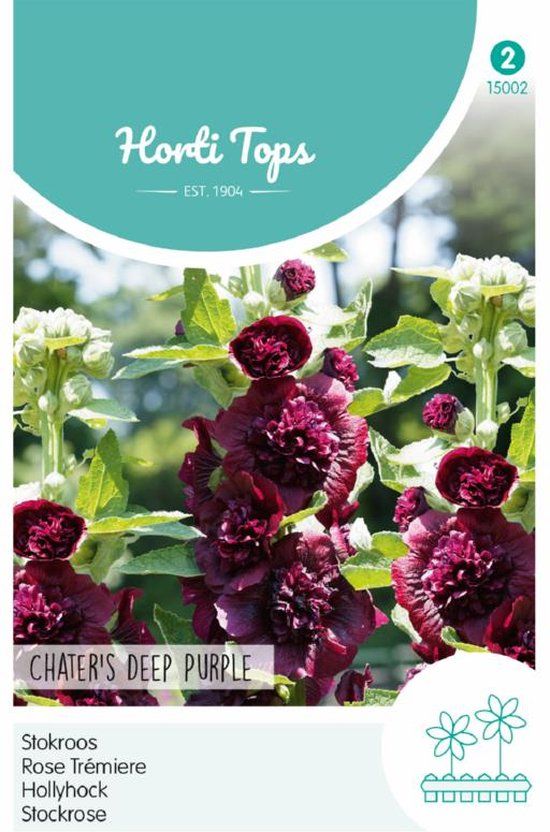 Hortitops Stokroos Chater's Deep Purple (Alcea rosea)