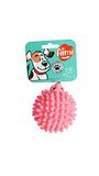 Aimé Vinyl Egel Speelgoed 10 cm voor Hond