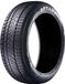 Aptany Winterreifen RW211 ( 255/55 R18 109V XL )
