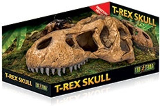 Exo Terra T-Rex Schedel