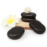 Master Massage Middel Ovular Basalt Hot Stone massagestenen 6,4 cm x 4,6 cm x 1,8 cm America Brand