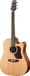 WALDEN Westerngitaar, Dreadnought Cut, massief plafond, matte lak, EQ, tas