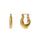 Lucardi Dames Stainless steel oorringen voor dames - Oorbellen - Staal - Goudkleurig