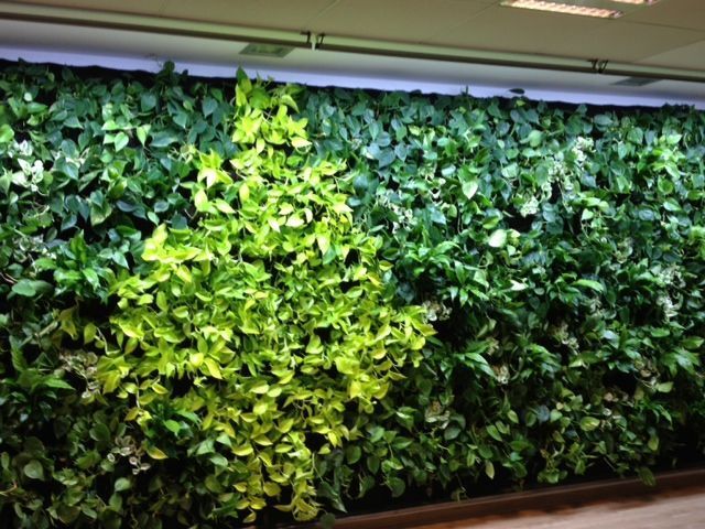 Parus Groeilamp Bloeilamp Lineair Spot LED Greenwall 90 cm 90 45 W