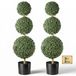 VEVOR Plante artificielle 2 pièces. Buis artificiel avec pot PP 914 mm