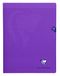 Clairefontaine 373361C Pak met 10 Geniete Schriften Mimesys Paars - 24x32 cm - 96 Pagina's Grote Ruitjes - Wit Papier 90 g - Polypro Omslag