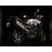 Remus 8 2.0 Triumph Tiger 900 2024 Silencieux homologué