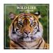 Grupo Erik Wildlife Wall Calendar 2027 UK