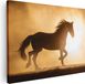 Artaza Canvas Schilderij Silhouet Van Een Paard - 40x30 cm - Canvas Print