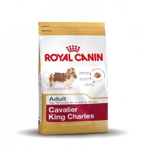 Royal Canin Breed Royal Canin Adult Cavalier King Charles hondenvoer 3 kg