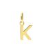 Lucardi Dames 14 karaat gouden letter hanger alfabet - Hanger - 14 Karaat Goud - Goud