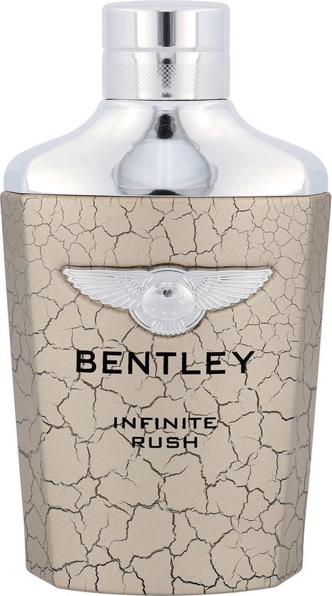 BENTLEY Infinite 100 ml / heren