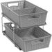 Famanu - 2-laags opbergrek met uitschuifbare lades, ondergootsteen organizer, multifunctioneel design, grijs