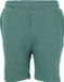 ENDURANCE Shorts Glakrum Groen Kinderen Unisex Polyester/Katoen