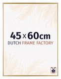Dutch Frame Factory Fotolijst 45x60 cm - Kunststof - Goud - Easy