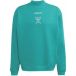 ADIDAS PERFORMANCE sweat Liverpool FC EQT petrol