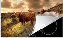 Merkloos KitchenYeah® Inductie beschermer 77x51 cm - Schotse hooglanders - Inductie beschermer voor kookplaat - Multicolor