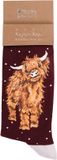 Wrendale Designs Herensokken Kerst - 'A Highland Christmas' Koe - Maat 40-46