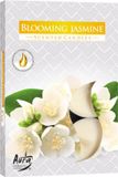 Aegis Bispol Geurtheelichten Bloeiende Jasmijn – Set van 6 Stuks