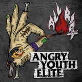 Sonic Rendezvous Angry Youth Elite - All Riot (CD)