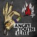 Sonic Rendezvous Angry Youth Elite - All Riot (CD)