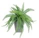 Kunstplant bosvaren in pot, grote kunstvaren, bosplant, kamerplant, groene plant, potplant, decoratieve jungle, struik