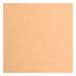 Vaessen Creative Florence Cardstock papier, beige, 216 gram/m², vierkant, 30,5 x 30,5 cm, 20 stuks