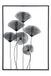 Casablanca wanddecoratie, metaal, zwart, hoogte 70 cm