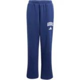Adidas Kinder joggingbroek Essentials Collegiate Typography