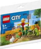 LEGO City Boer met vogelverschrikker, konijn en pompoen - 30590 - polybag
