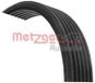 Metzger 6DPK1840 DAYCO V-riem