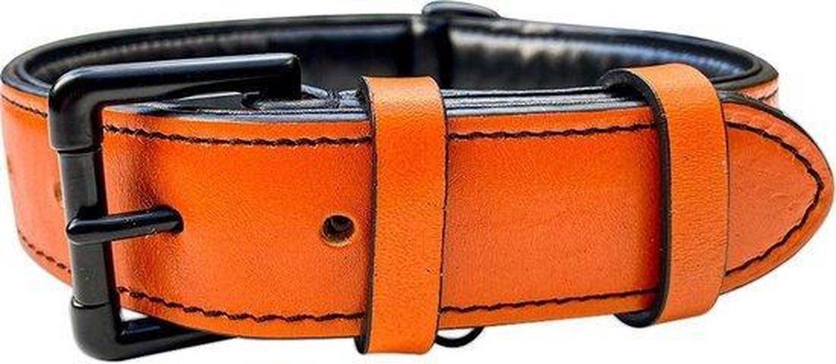 Brute Strength Hondenhalsband van leer - oranje - XXL - 66-73 cm
