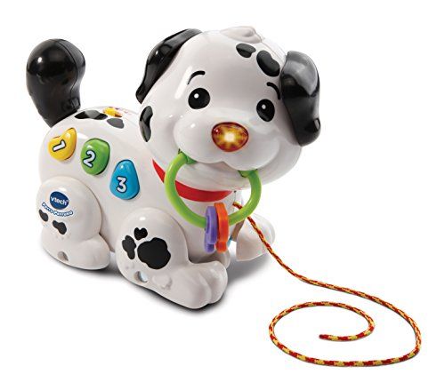VTech Perruno - Interactieve Trekhond - Spreuken & Melodieën - Meerkleurig