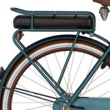 Cortina Cortina achterdrager e-u4 bafang irish blue matt