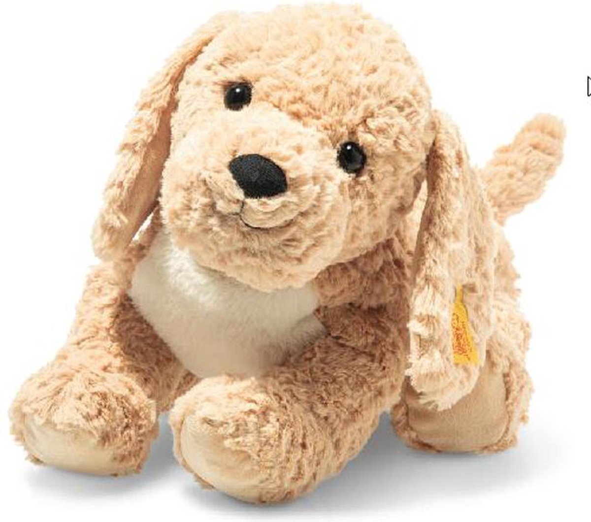 Steiff Berno Goldendoodle hond 36 cm. EAN 067075