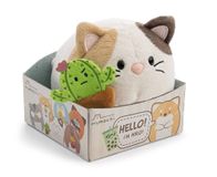 63180 Peluche chat Angy, 13 cm, avec aimant Cactus Moodie dans boîte cadeau, beige, peluche douce, animal en peluche mignon à câliner et à jouer, pour enfants et adultes