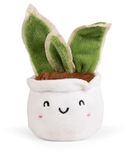 LITTLE Living Nature Sansevieria Groene Plant - Pluche | Zacht Speelgoed Cadeau voor Kinderen