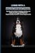 Living Bol Living with a English Springer Spaniel Paperback