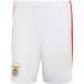 Adidas Short Benfica 26/27