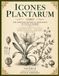 Icones Plantarum (1660): The Complete Botanical Engravings of Nicolas Robert - A 2-Volume Restored Collection of 326 Masterpiece Plates — Large Format ... Art Drawings Pictorial Album Volume 2