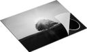 Chefcare Inductie Beschermer Zonsondergang Achter een Grote Boom - Zwart Wit - 65x52 cm