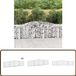 vidaXL Gabions - 9 pieces - arched - 400x30x80/100 cm - iron