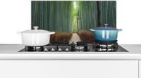 KitchenYeah Spatscherm keuken 70x30 cm - Kookplaat achterwand Bamboe - Pad - Bos - Muurbeschermer - Spatwand fornuis - Hoogwaardig aluminium