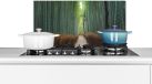KitchenYeah Spatscherm keuken 70x30 cm - Kookplaat achterwand Bamboe - Pad - Bos - Muurbeschermer - Spatwand fornuis - Hoogwaardig aluminium