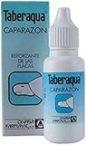 Taberaqua Caparazon Schildpad