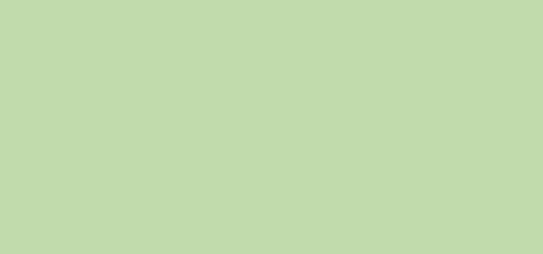 Clairefontaine 1540C - Stuifkaarten - 10.6 x 21.3 cm - 210 g - Groen - 25 stuks